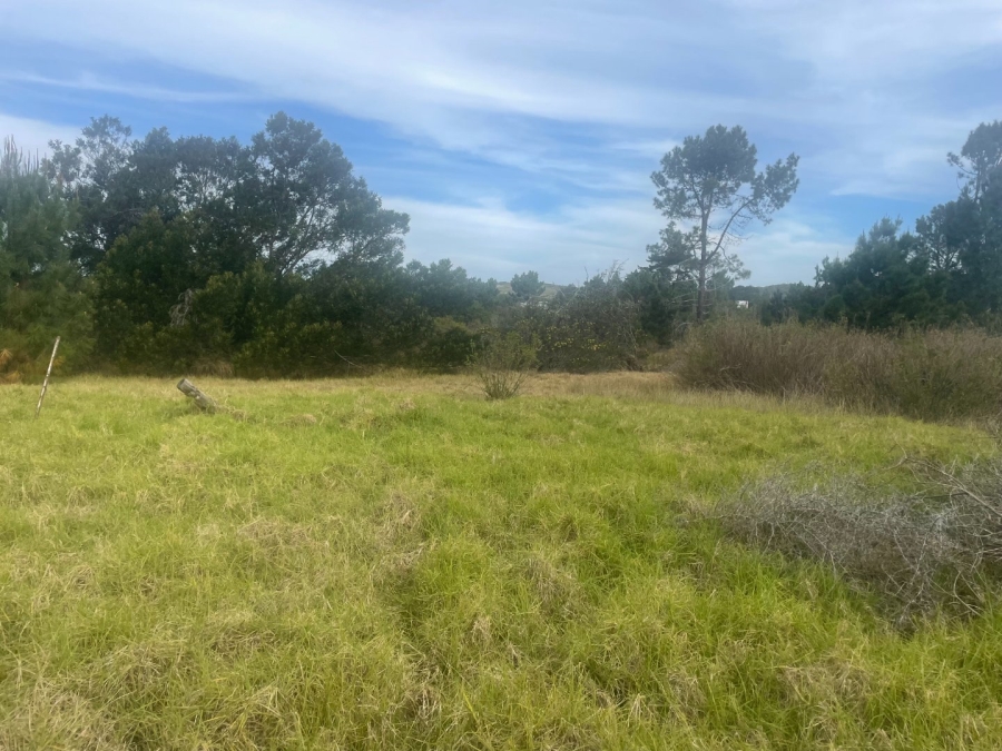 Commercial Property for Sale in Keurbooms Western Cape